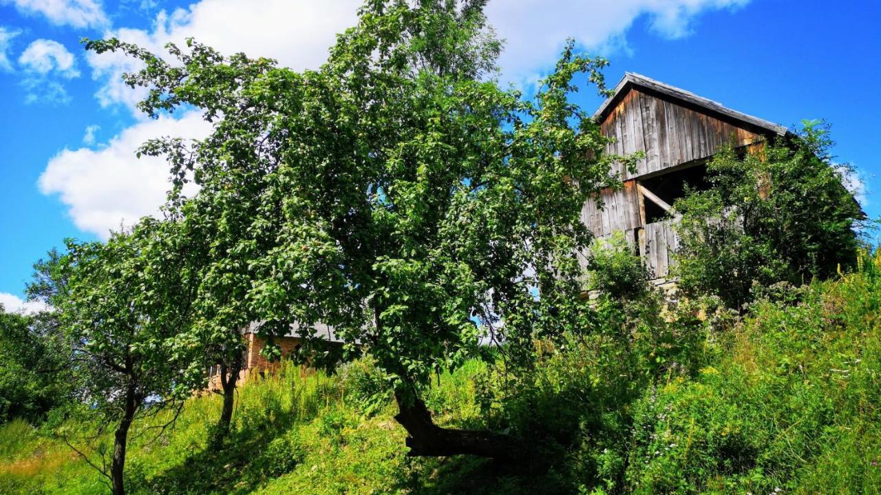 Wies Odnowa Łabowa Εξωτερικό φωτογραφία