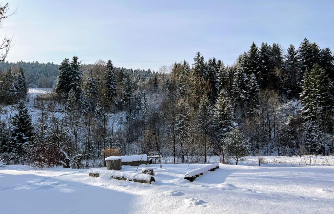 Wies Odnowa Łabowa Εξωτερικό φωτογραφία